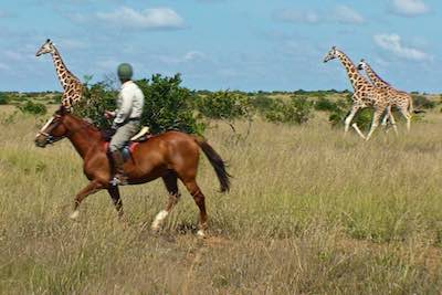 Horse riding in Kenya